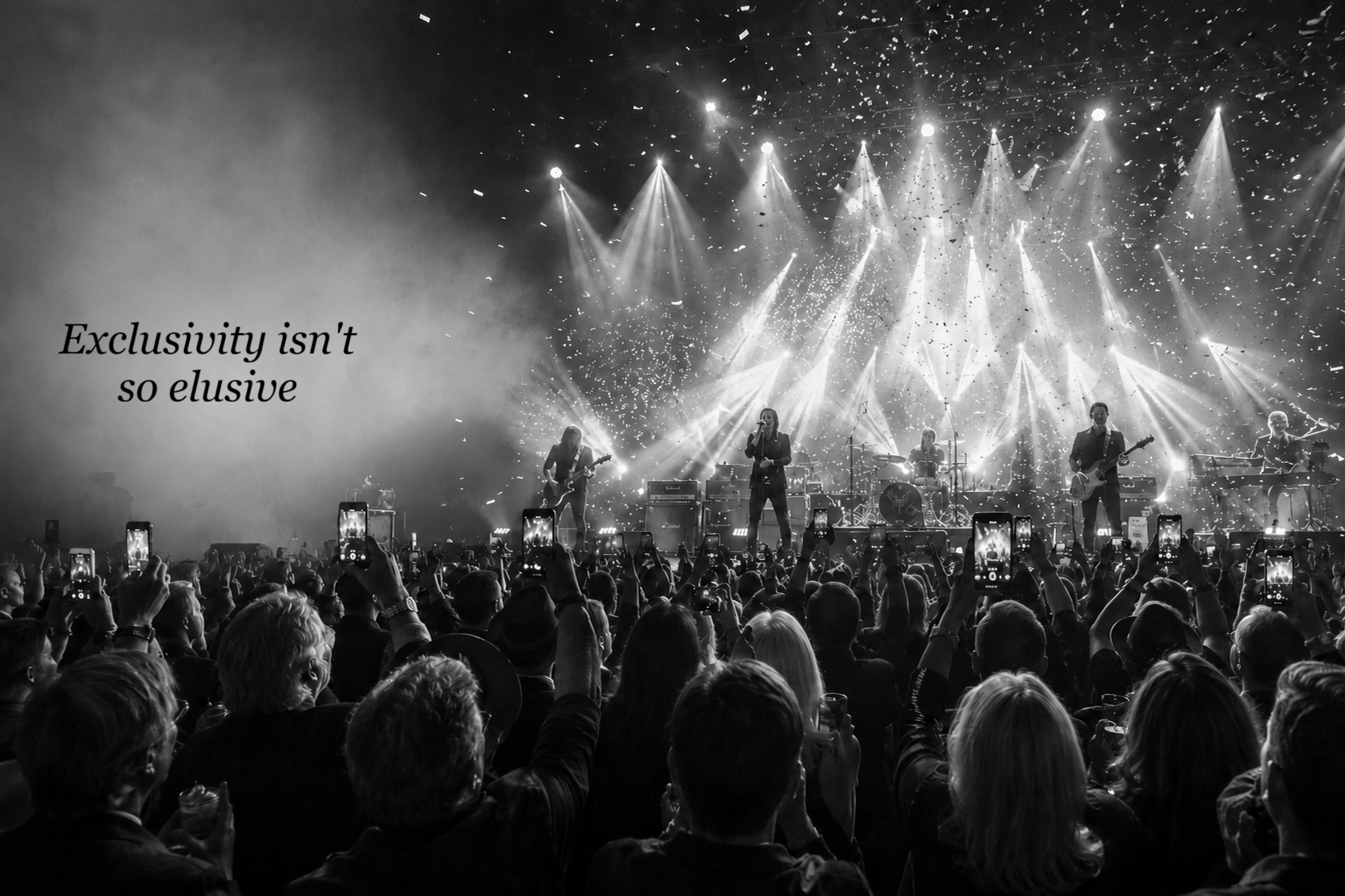 Concert experience with the words Exclusivity is not so elusive